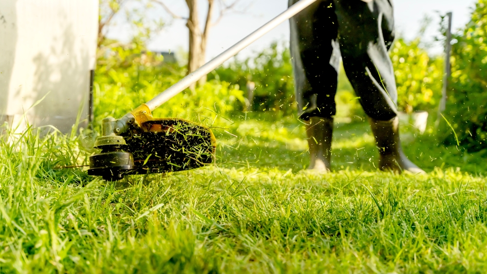 Landscaping & Tree Surgery Services in London