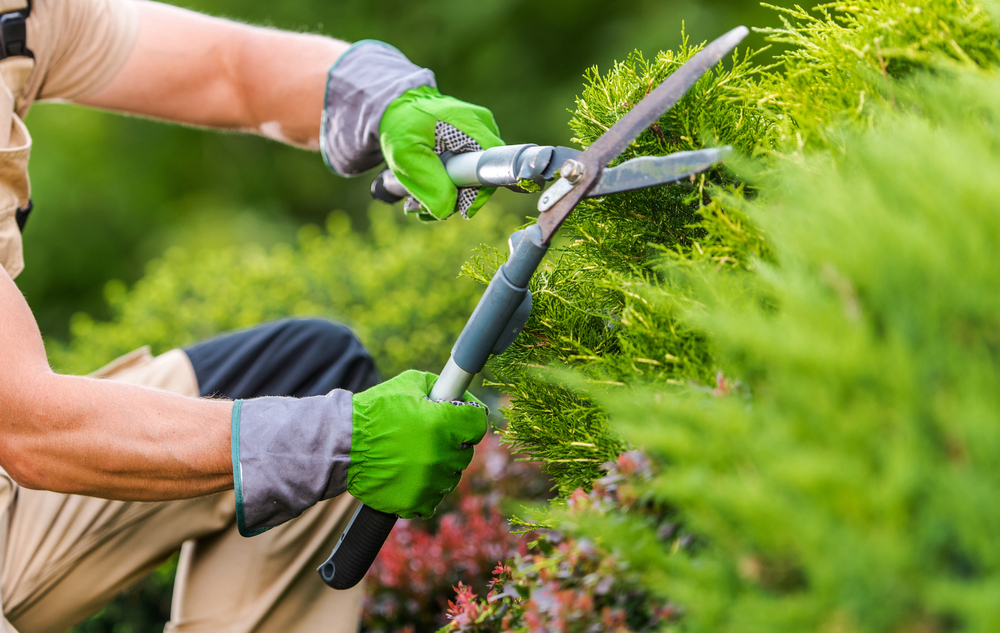Landscapers & arborists in Greater London