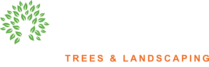 Landscapers & arborists in Greater London